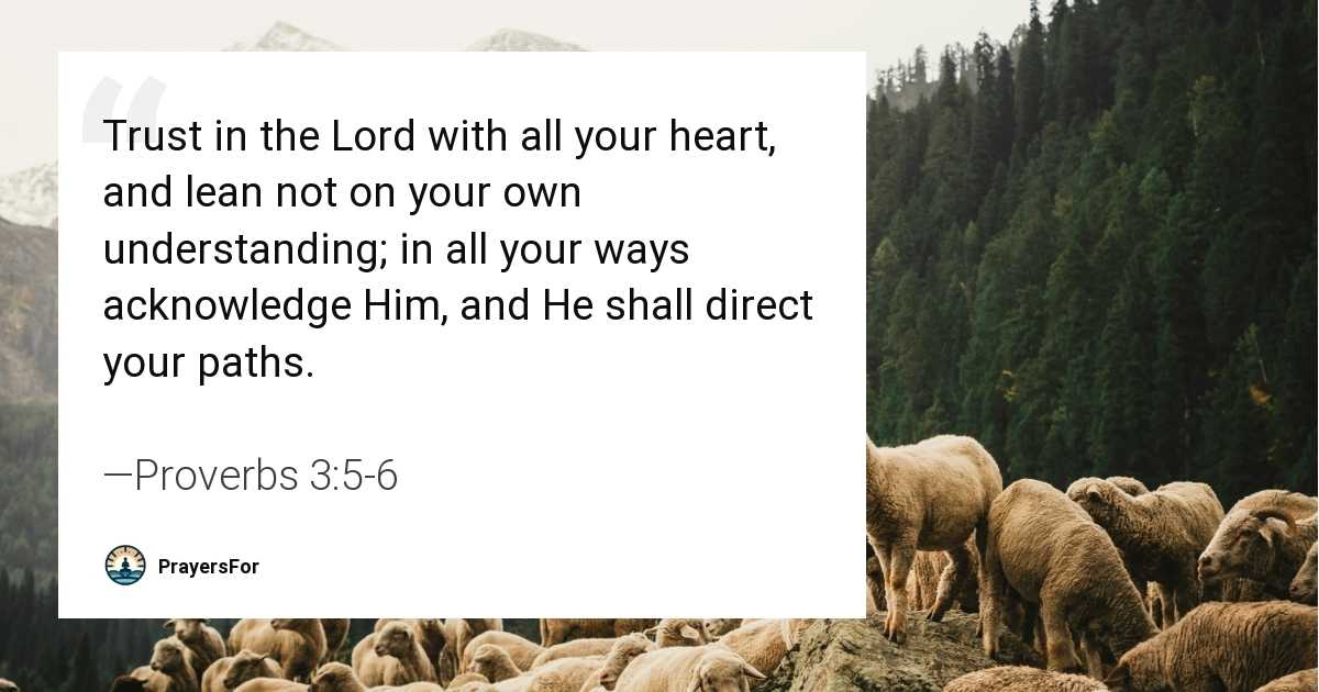 Proverbs 3:5-6