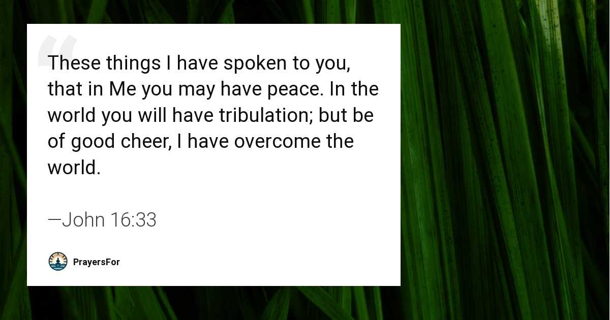 John 16:33