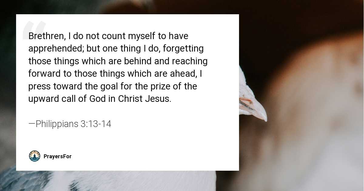 Philippians 3:13-14