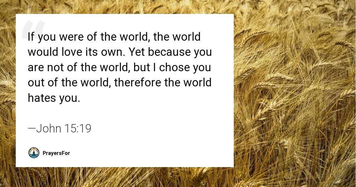 John 15:19