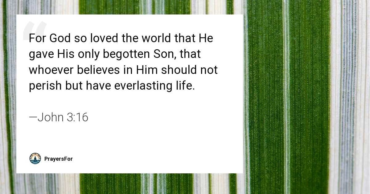 John 3:16
