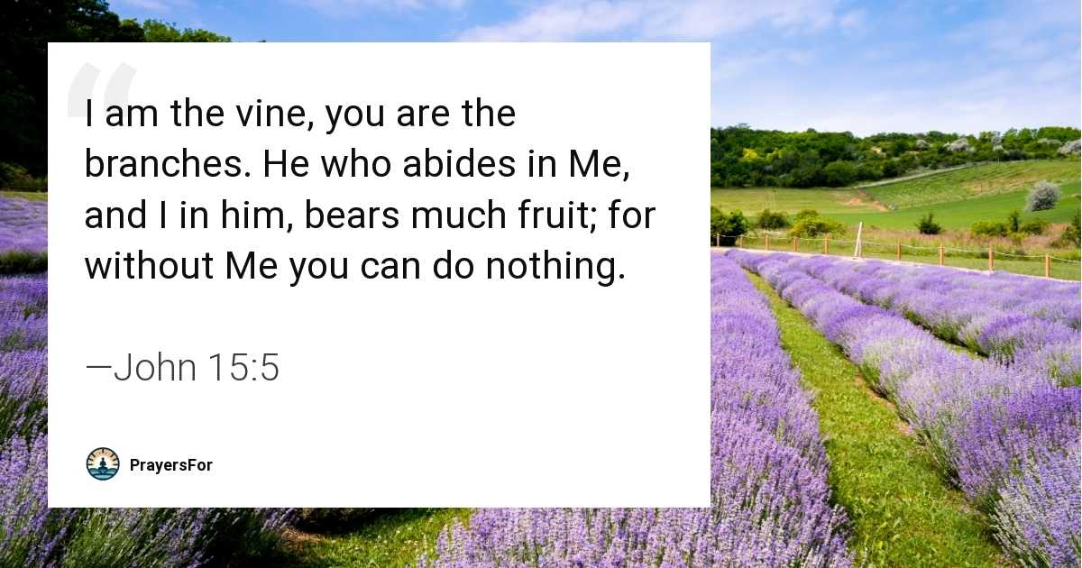 John 15:5