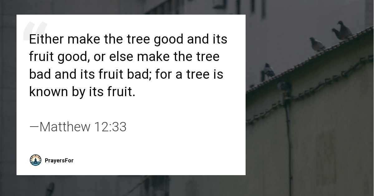 Matthew 12:33