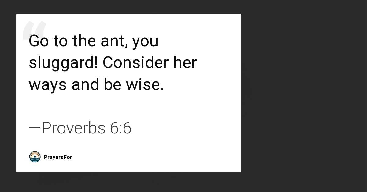 Proverbs 6:6