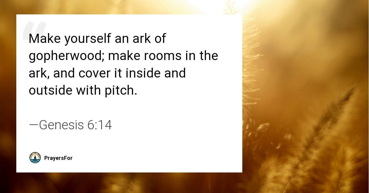 Genesis 6:14