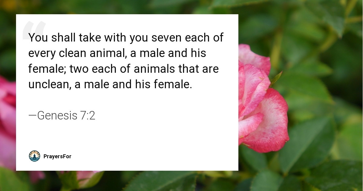 Genesis 7:2