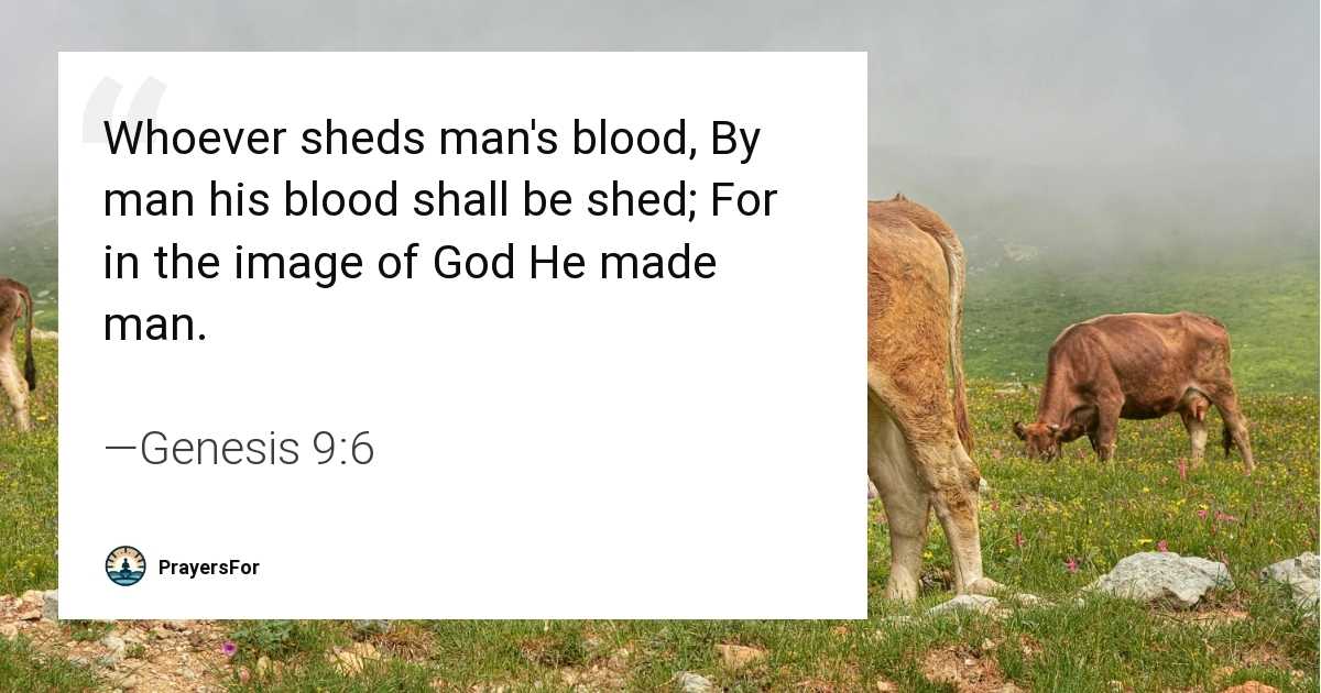 Genesis 9:6