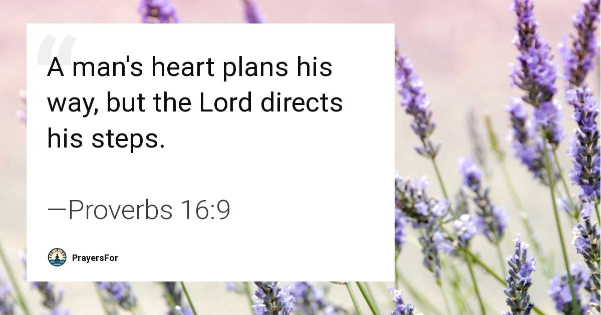 Proverbs 16:9
