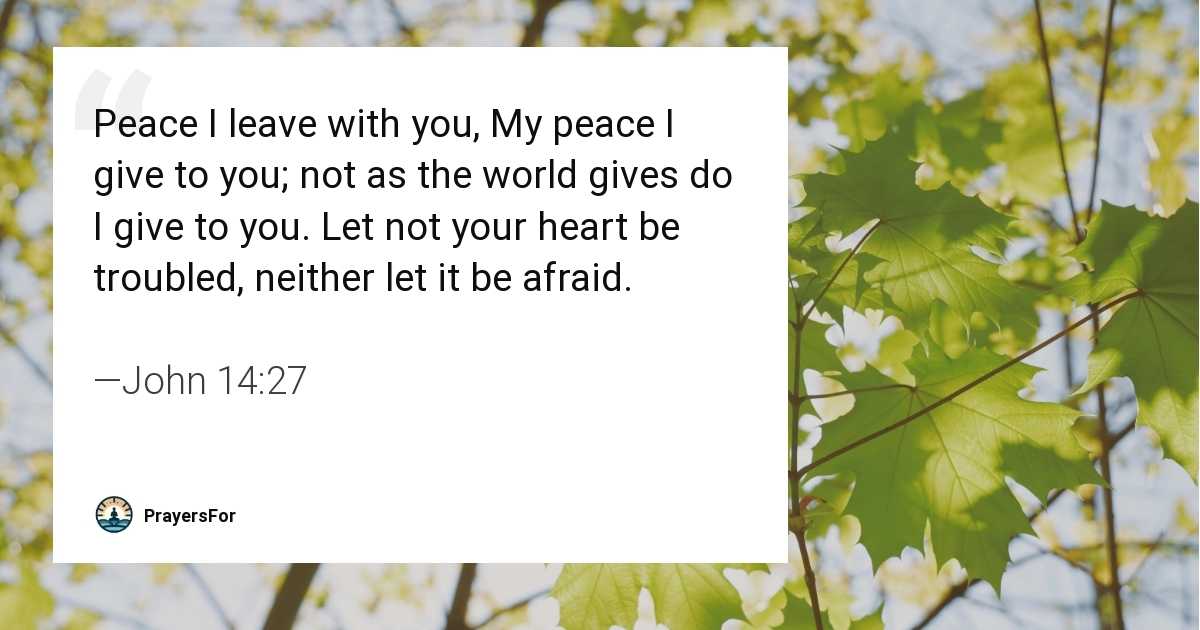 John 14:27