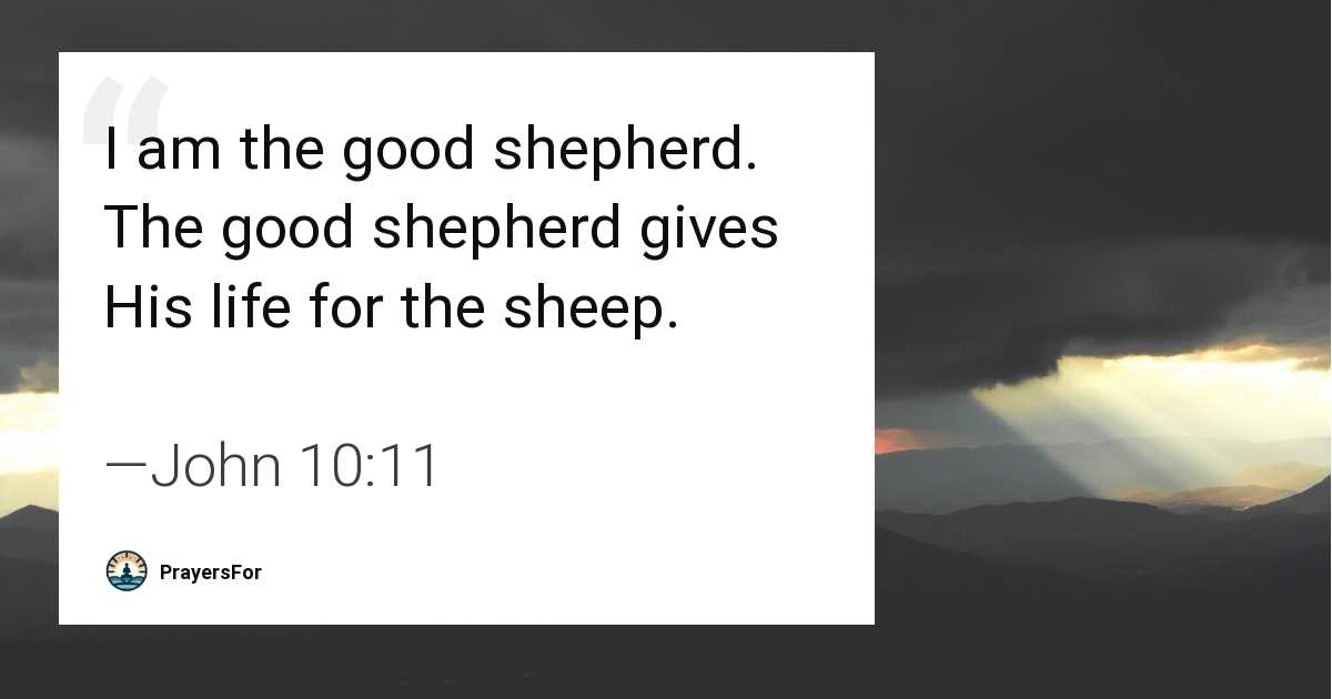 John 10:11