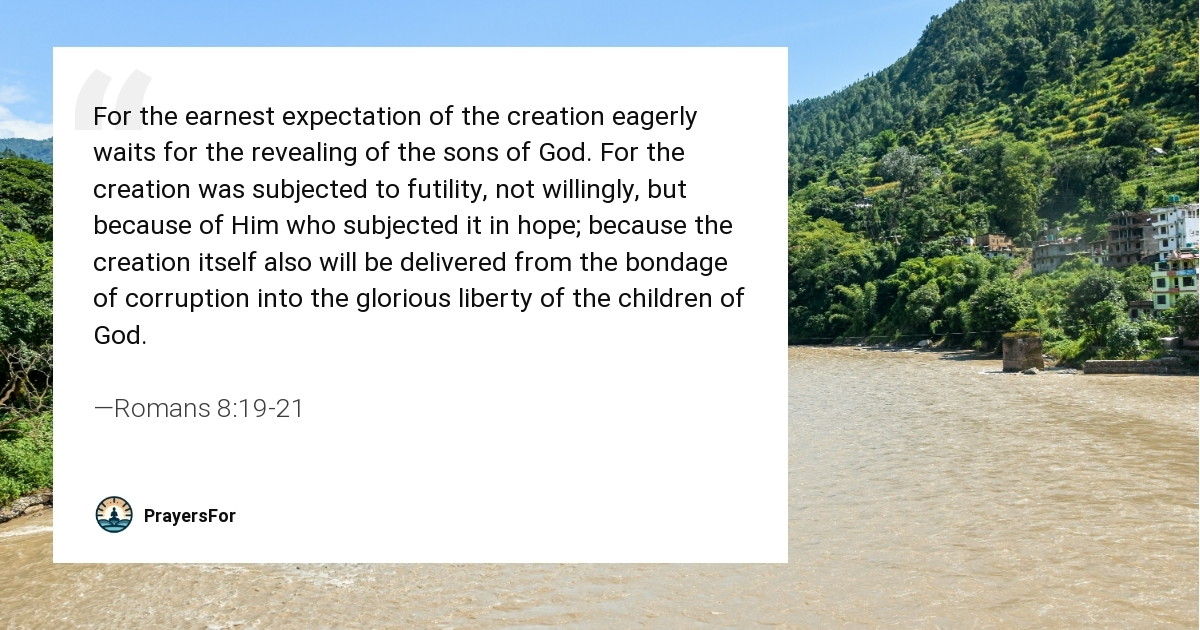 Romans 8:19-21