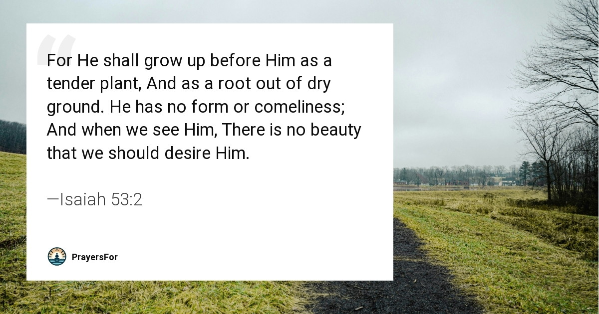Isaiah 53:2