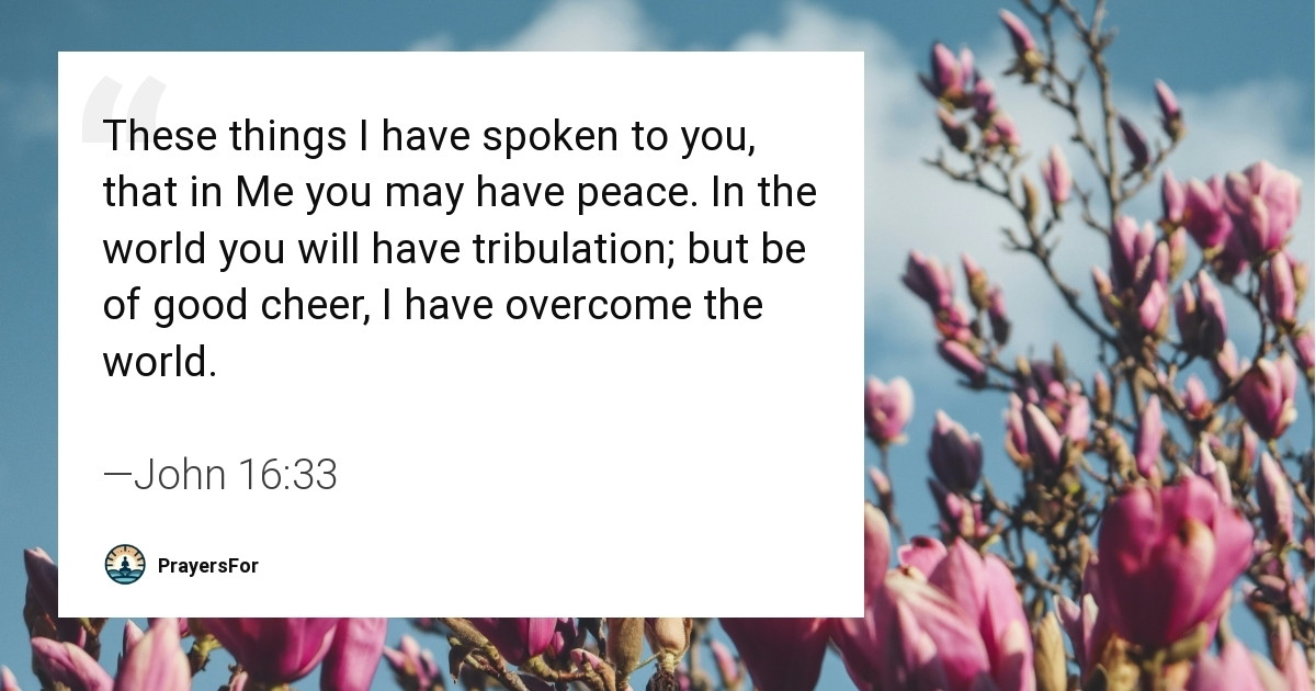 John 16:33