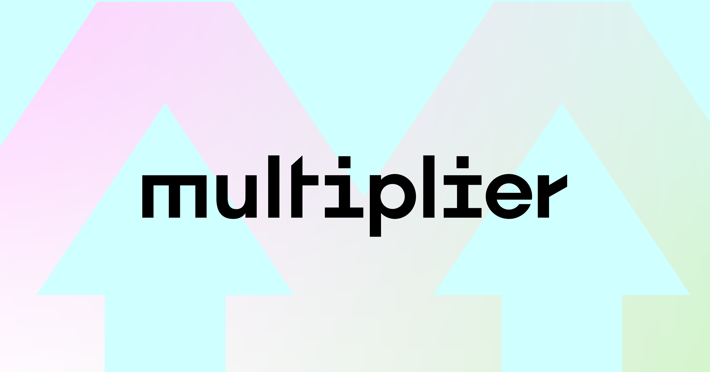 Mutliplier Stories | The Multiplier