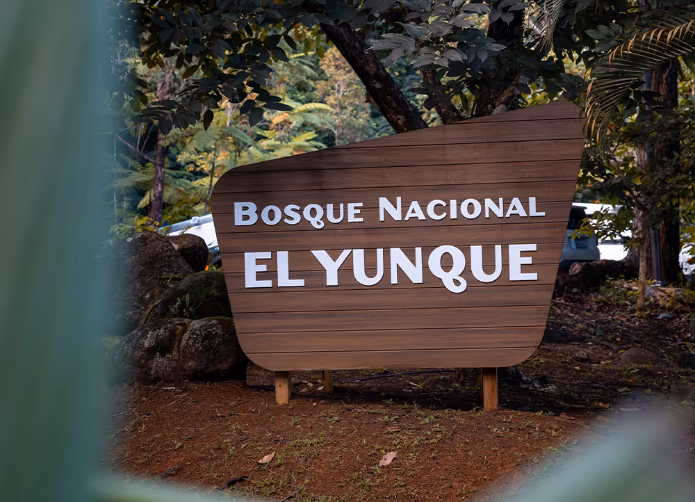 Scenic view of El Yunque National Rainforest in Puerto Rico with lush greenery and mountains