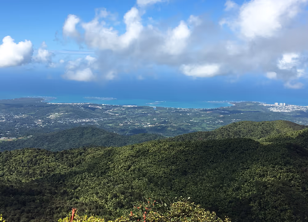Historic Yokahu Tower in El Yunque National Forest with expansive views