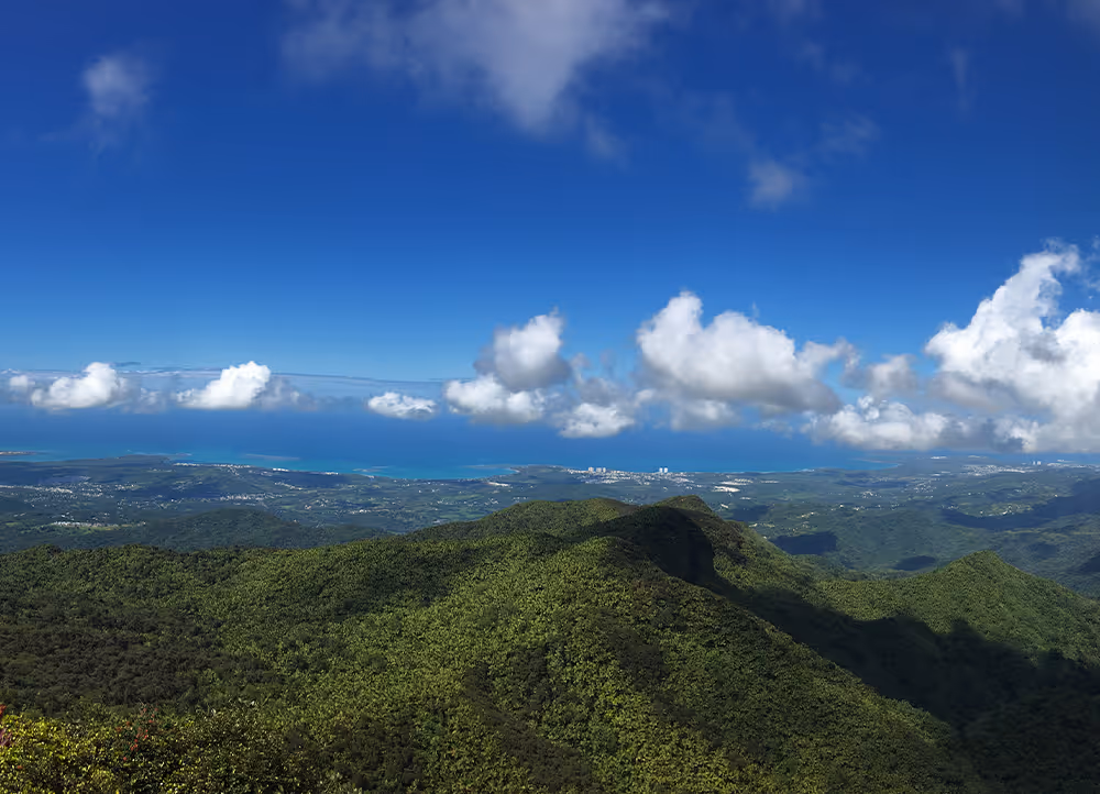 El Yunque waterfall surrounded by moss-covered rocks and vibrant greenery