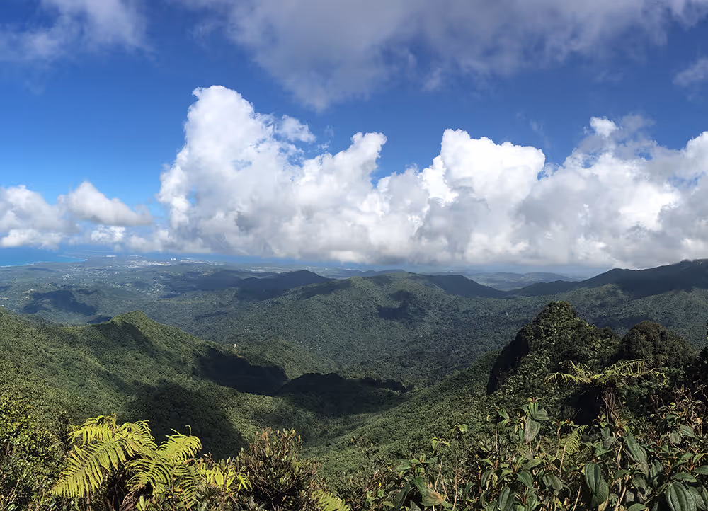 Trail sign in El Yunque National Forest marking paths to scenic viewpoints