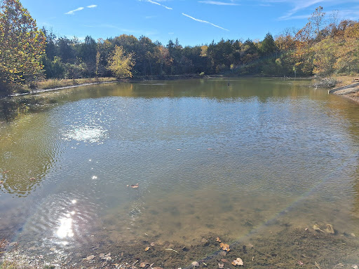 Missouri Private Pond: Phosphorus Reduction and Improved Aesthetics