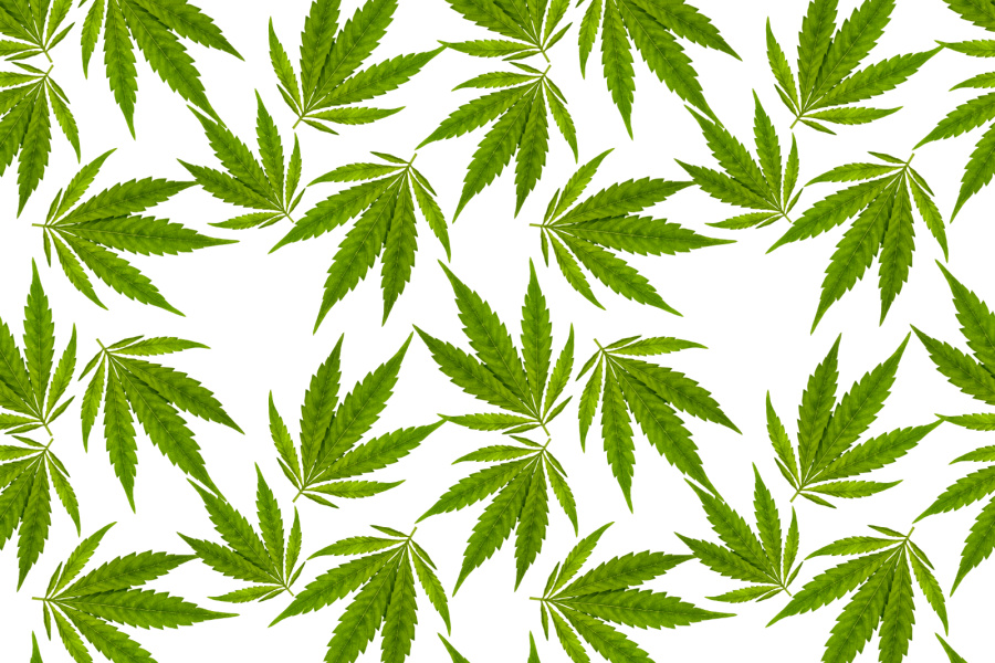 Can Weed (Cannabis) Help with ADHD Symptoms?