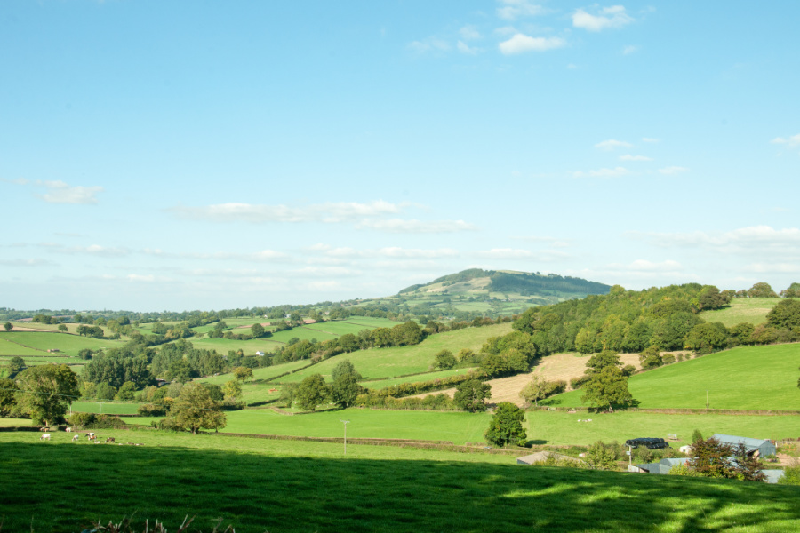 Berkshire's Paused ADHD Referrals in the NHS: What It Means for Patients