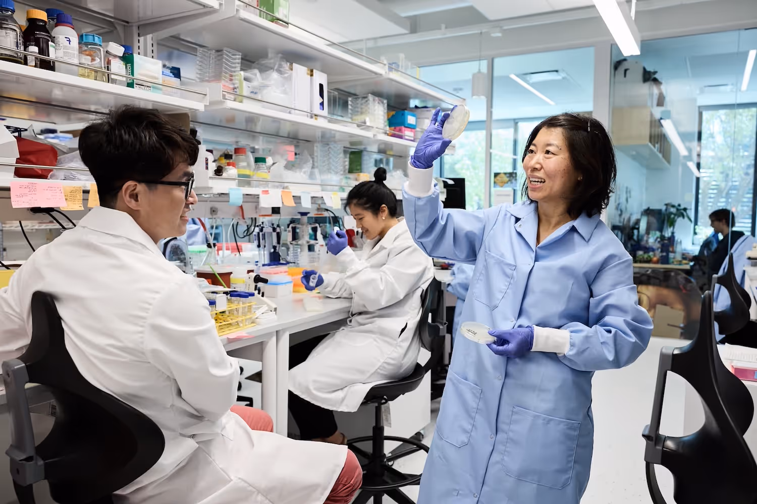 Scientists in lab coats and gloves working in a laboratory, one woman holding up a petri dish while smiling and talking to a seated male colleague.
