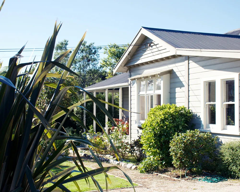 garden with plants