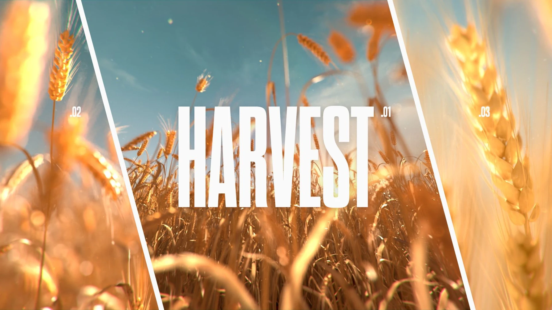Harvest