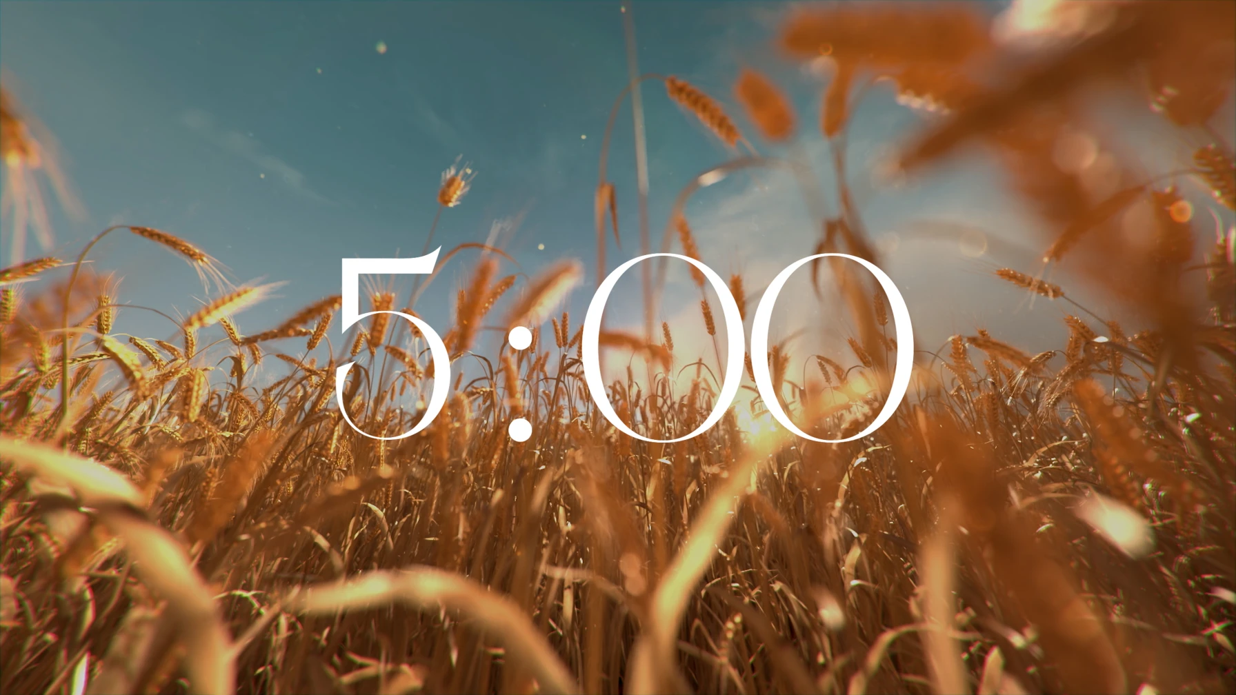 Harvest
