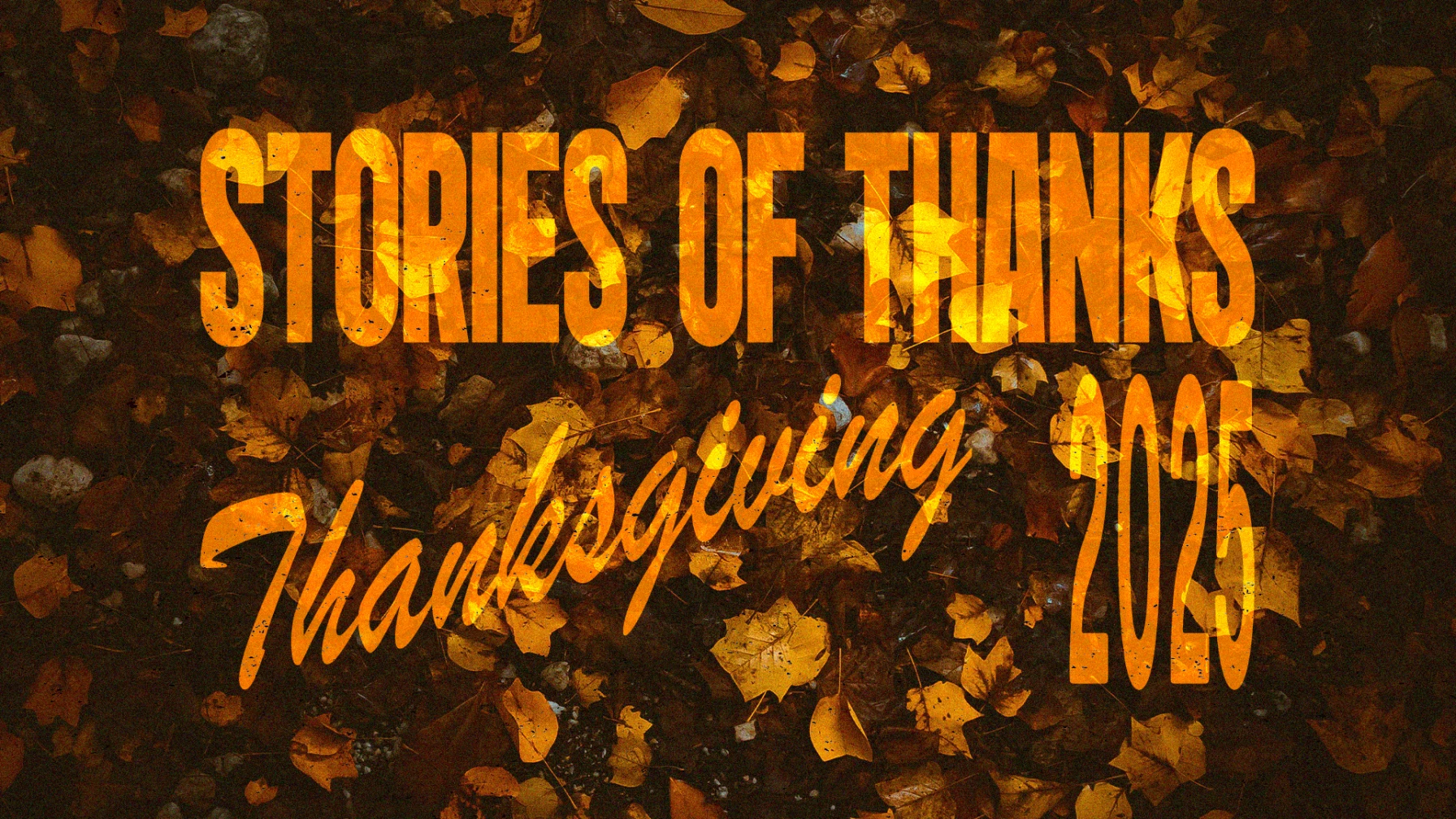 Stories Of Thanks