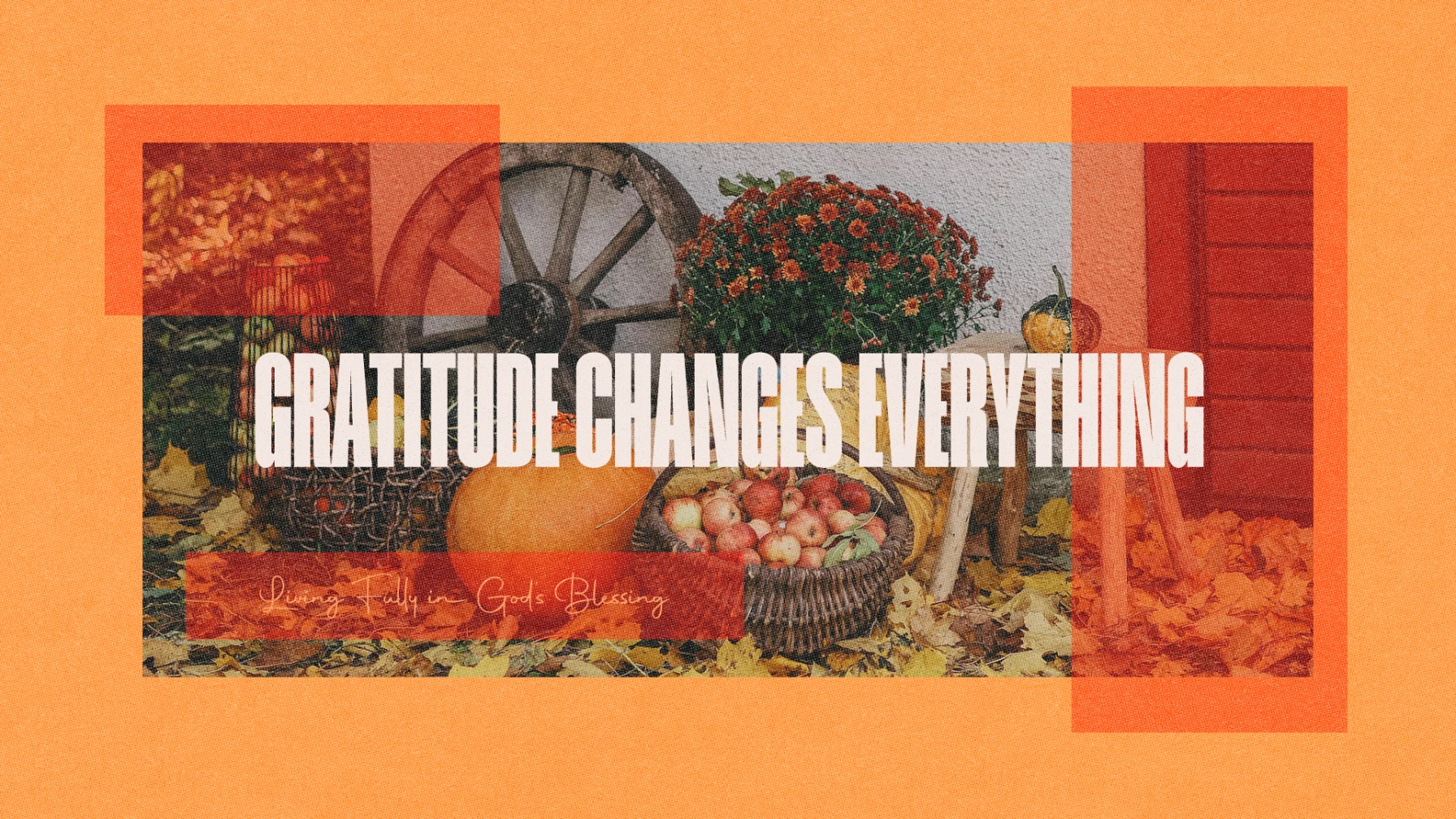 Gratitude Changes Everything
