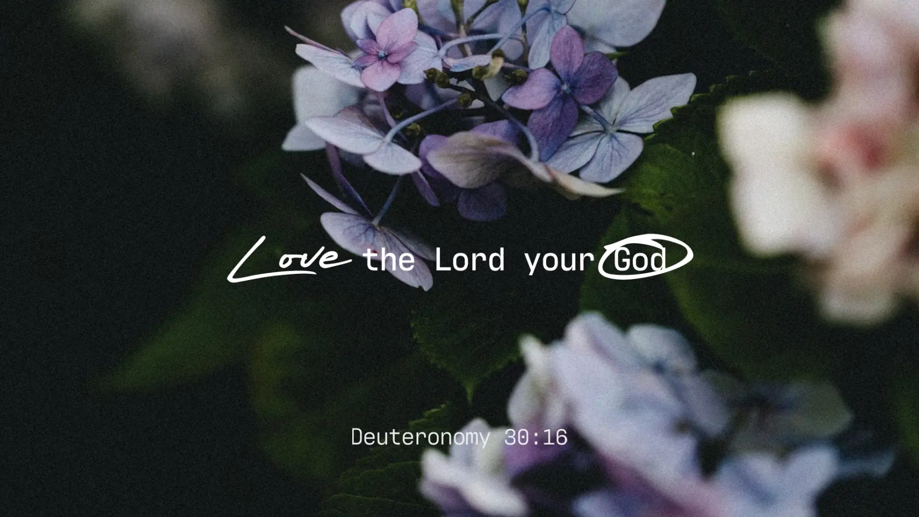 Love The Lord Your God