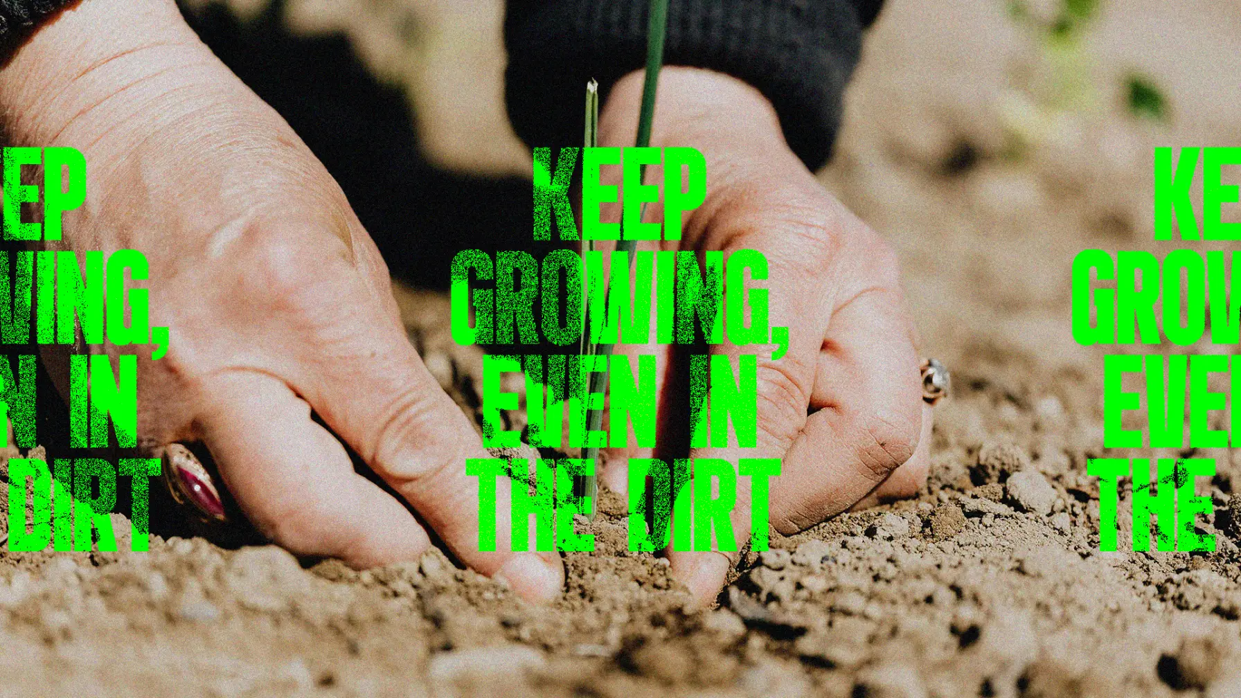 Keep Growing, Even In The Dirt