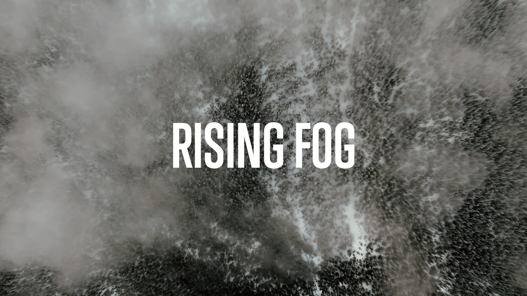 Rising Fog