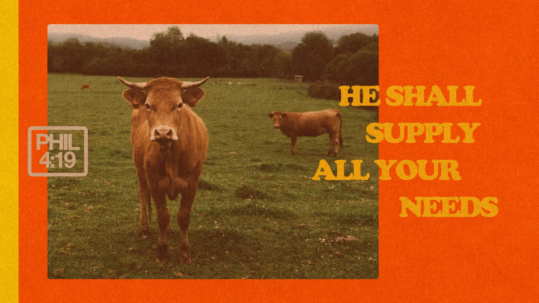 He Shall Supply All Your Needs