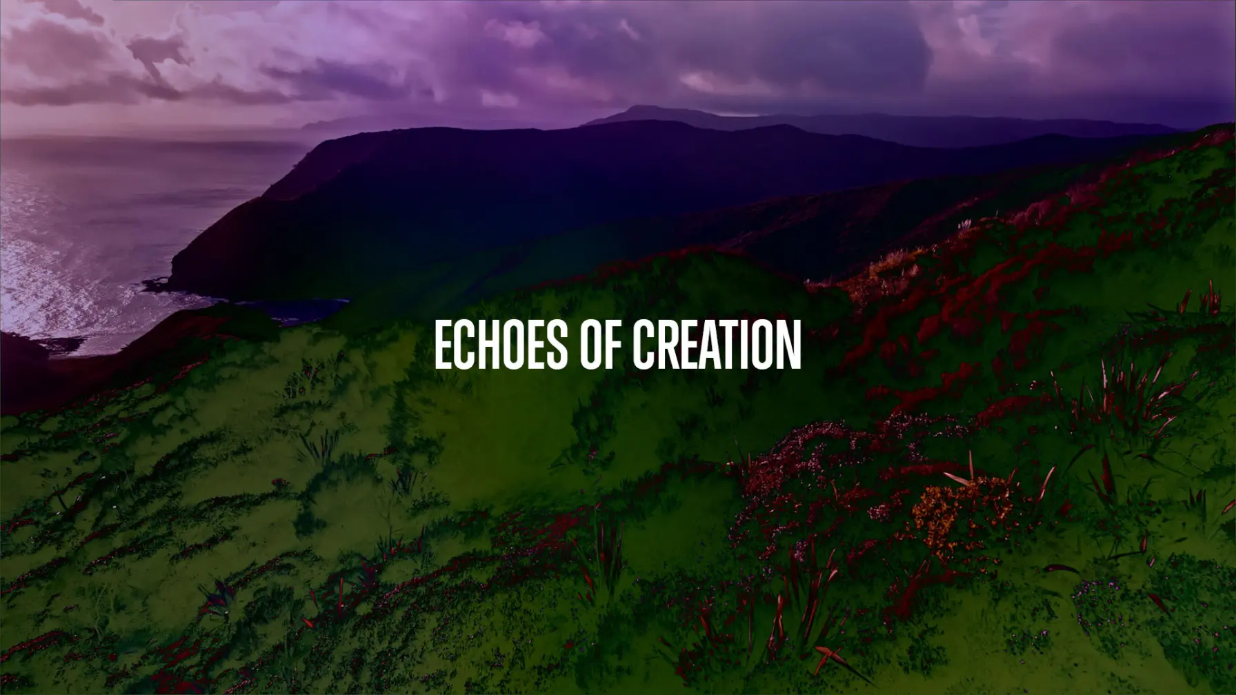 Echoes of Creation