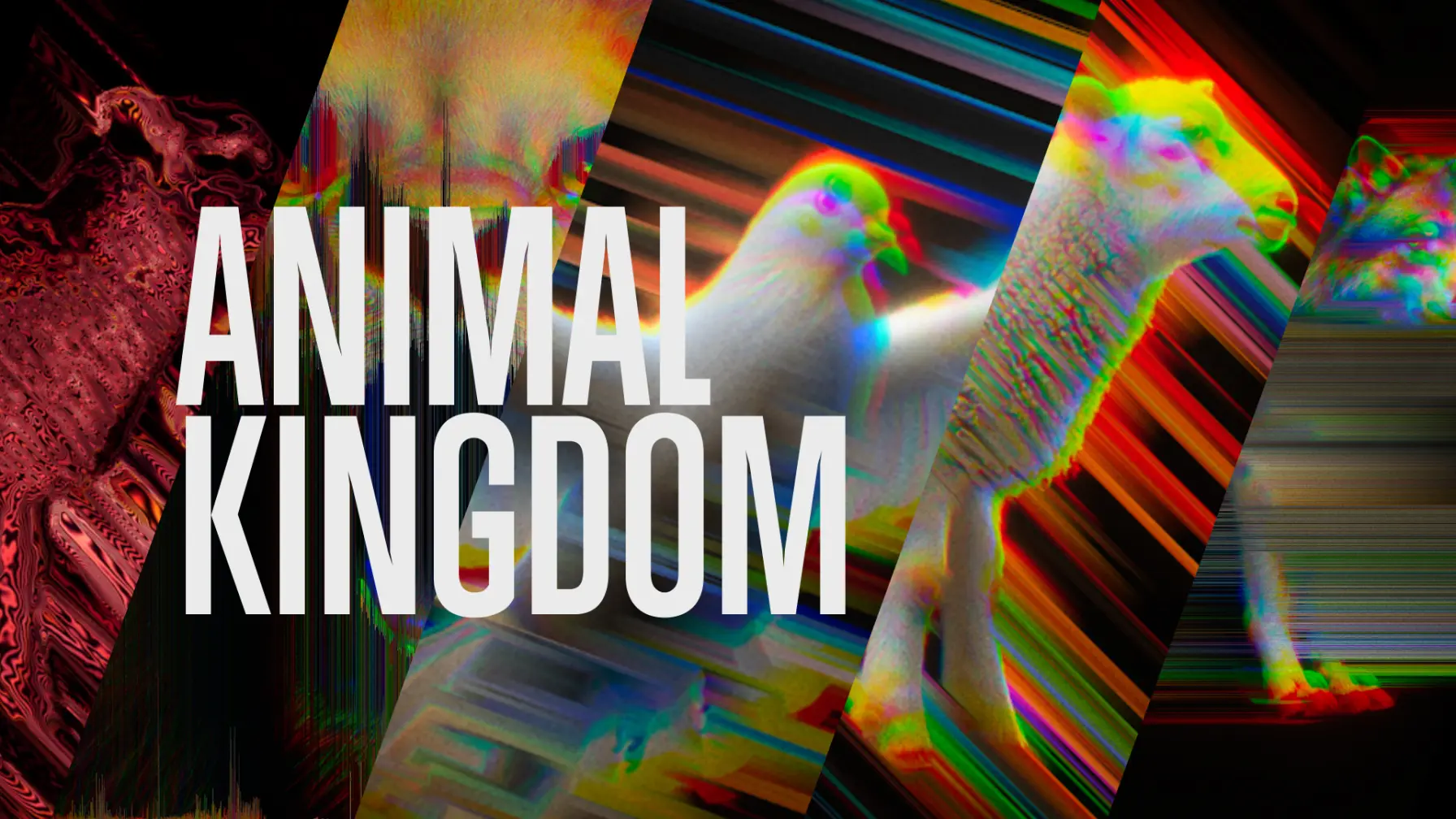 Animal Kingdom