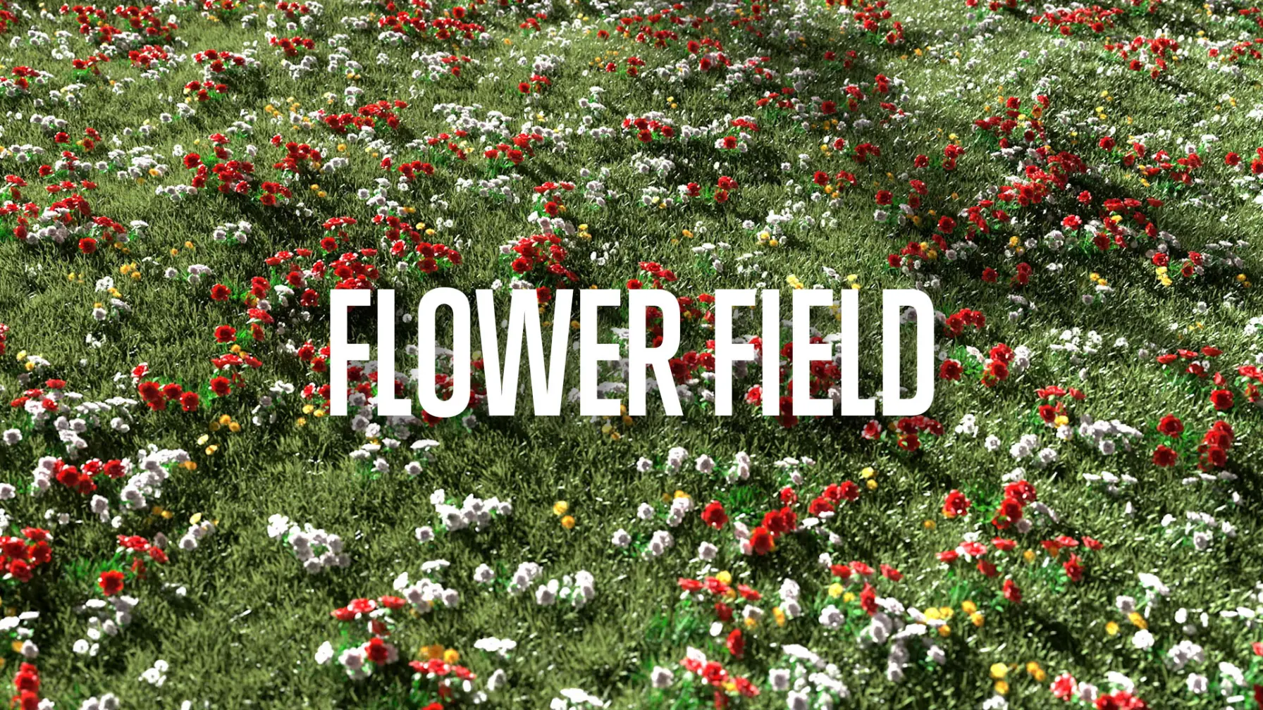 Flower Field