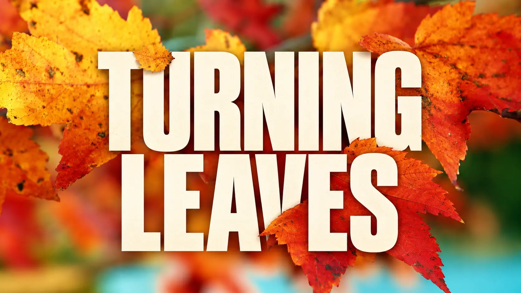Turning Leaves