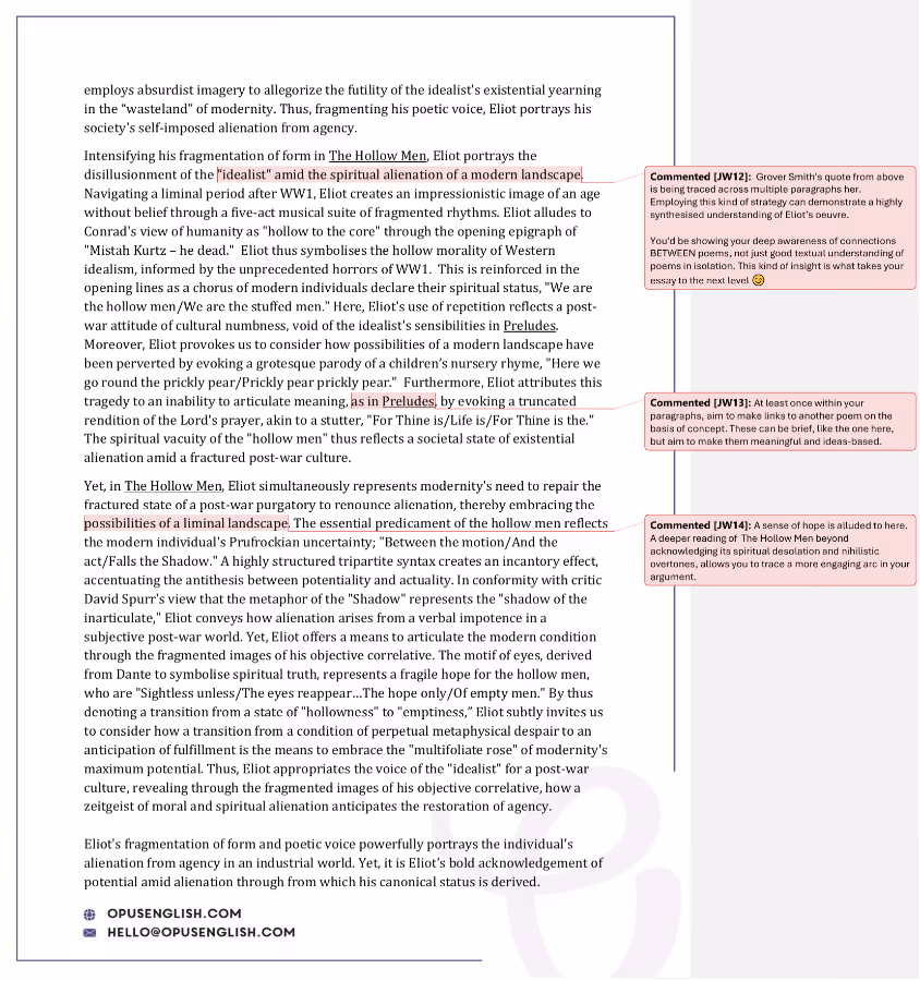 Comprehensive essay marking sample