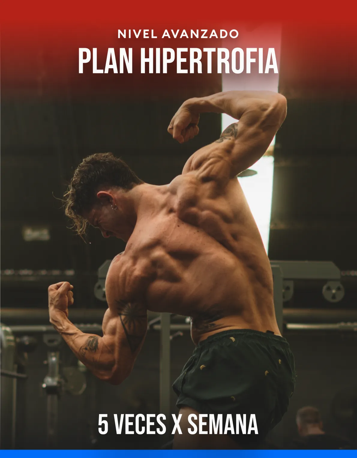 Franco Curia - Plan de entrenamiento Hipertrofia Intermedio