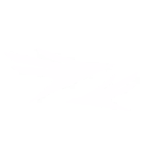 TheraClosure branding graphic design element for service promotion