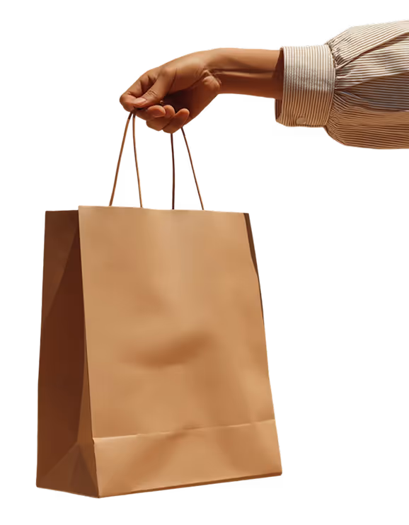 Hand Holding Paper Bag 1