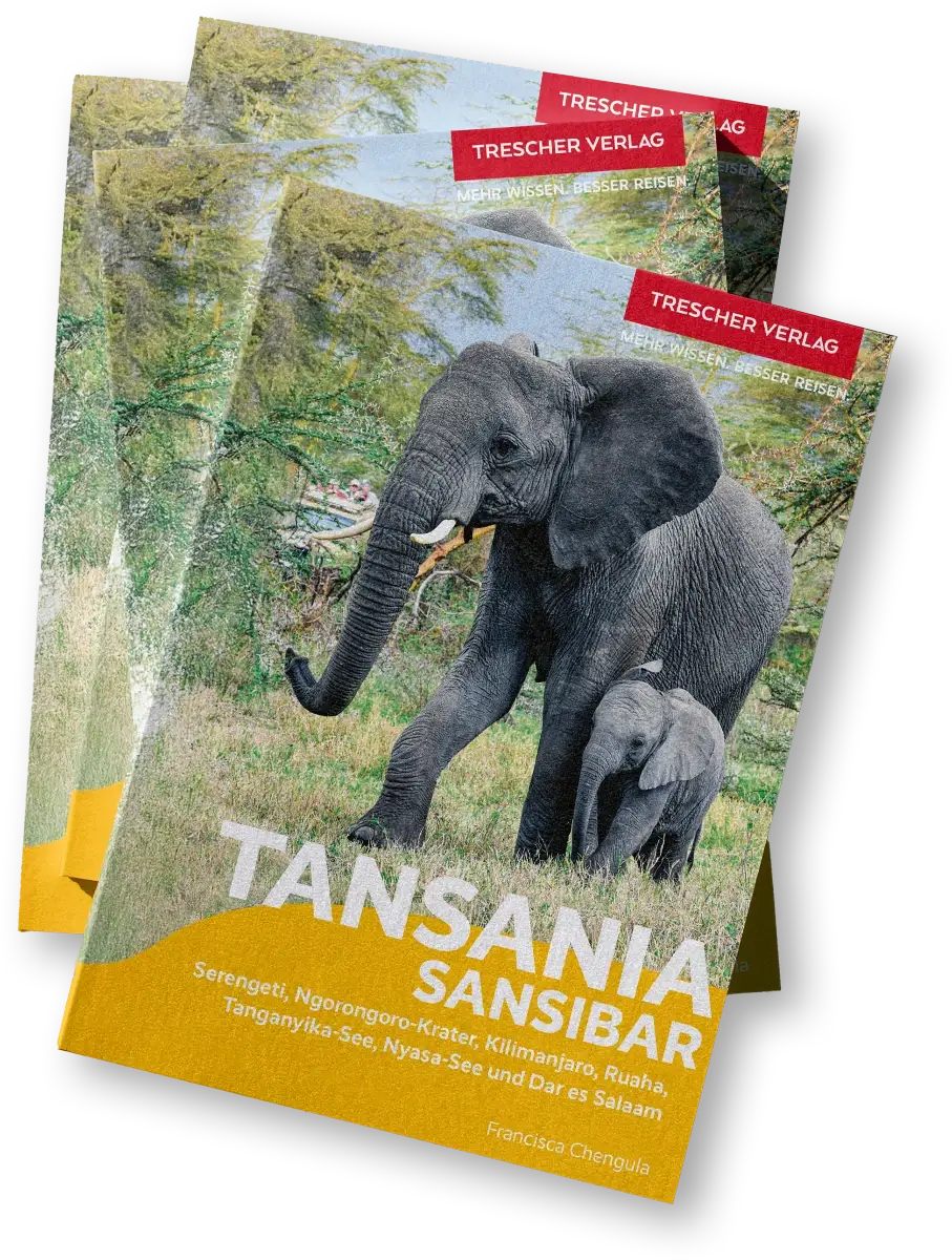 Vier übereinander liegende Reiseführer