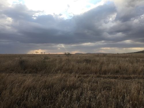 Die wolkenbehangene Weite der Serengeti