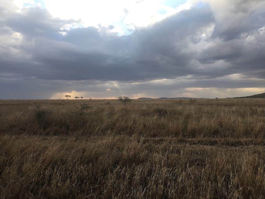Die wolkenbehangene Weite auf dem Campingplatz