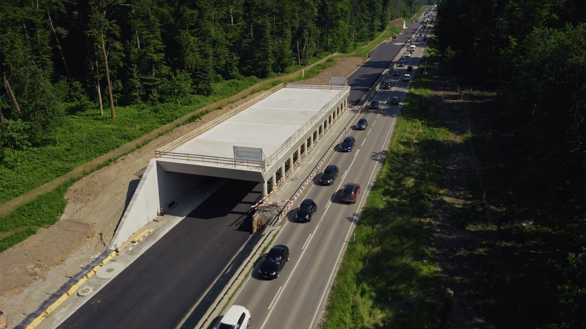 Die Wildtierüberführung stellt eine wichtige Verbindung im Hardwald wieder her.