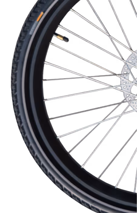 Close-up of a bicycle wheel showing the tire, rim, spokes, and valve stem.