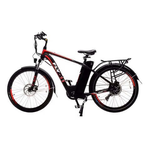 Other e-bike