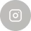 Instagram icon inside a gray circle.